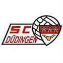 Dudingen